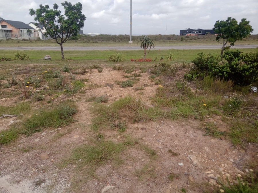 Commercial Property for Sale in Fountains Estate Eastern Cape